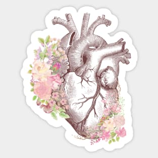 Floral anatomical heart Sticker